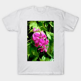 Pink Sweet Pea T-Shirt